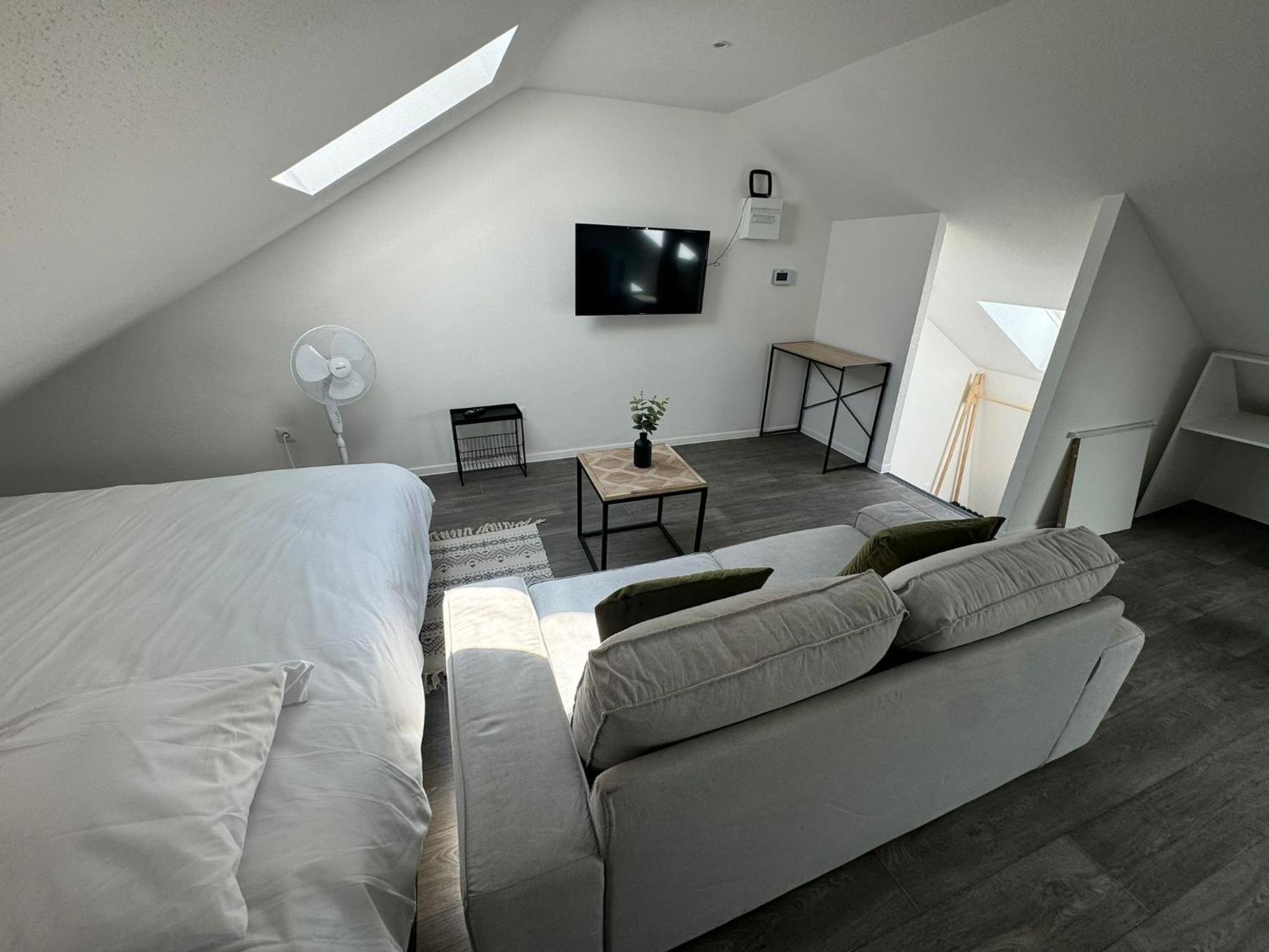 Studio Eucalyptus Charmant Elegant Et Fonctionnel Centre Ville Mulhouse Extérieur photo